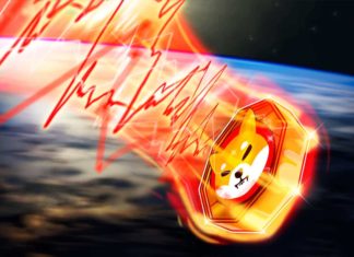 Shiba Inu находится в опасности «опережающего сигнала», так как цена SHIB упала на 50% за 3 недели